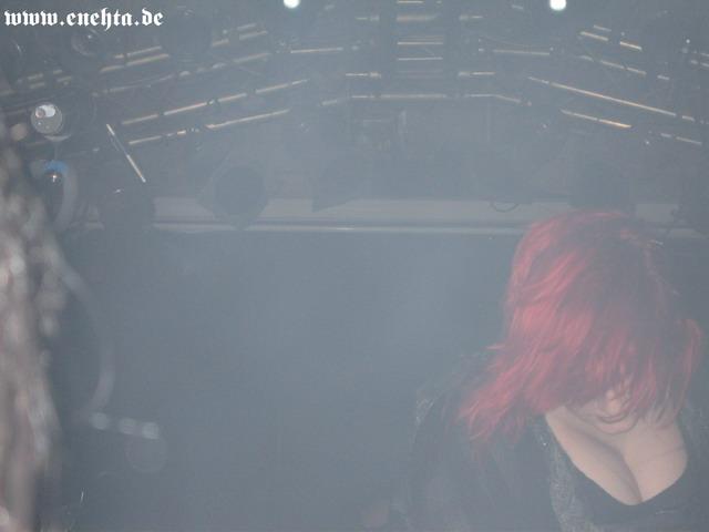 Lame Immotrelle vom 20.02.2008-038.jpg